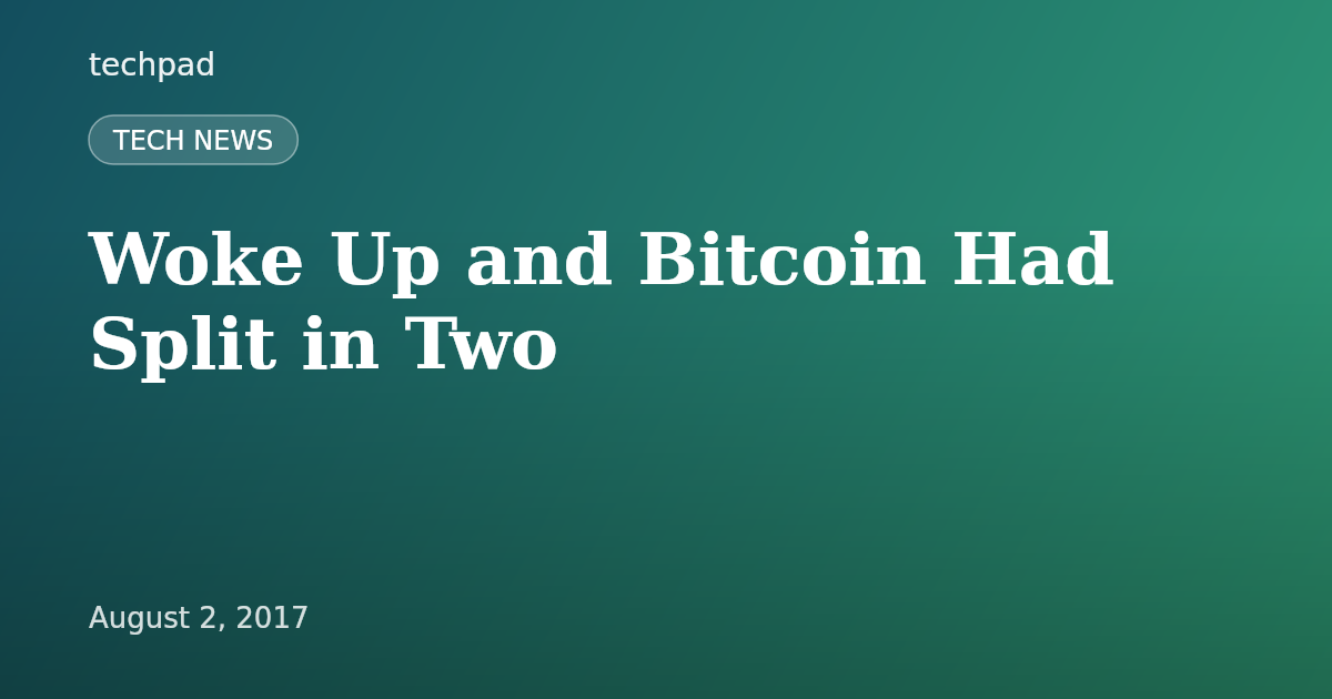 Woke Up and Bitcoin Had Split in Two