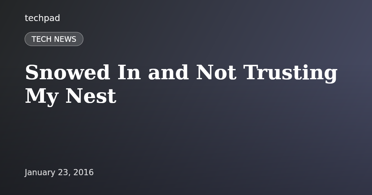 Snowed In and Not Trusting My Nest
