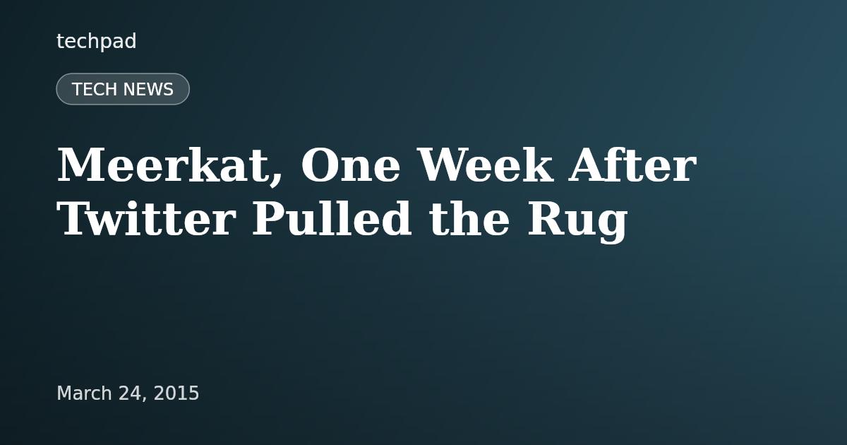 Meerkat, One Week After Twitter Pulled the Rug