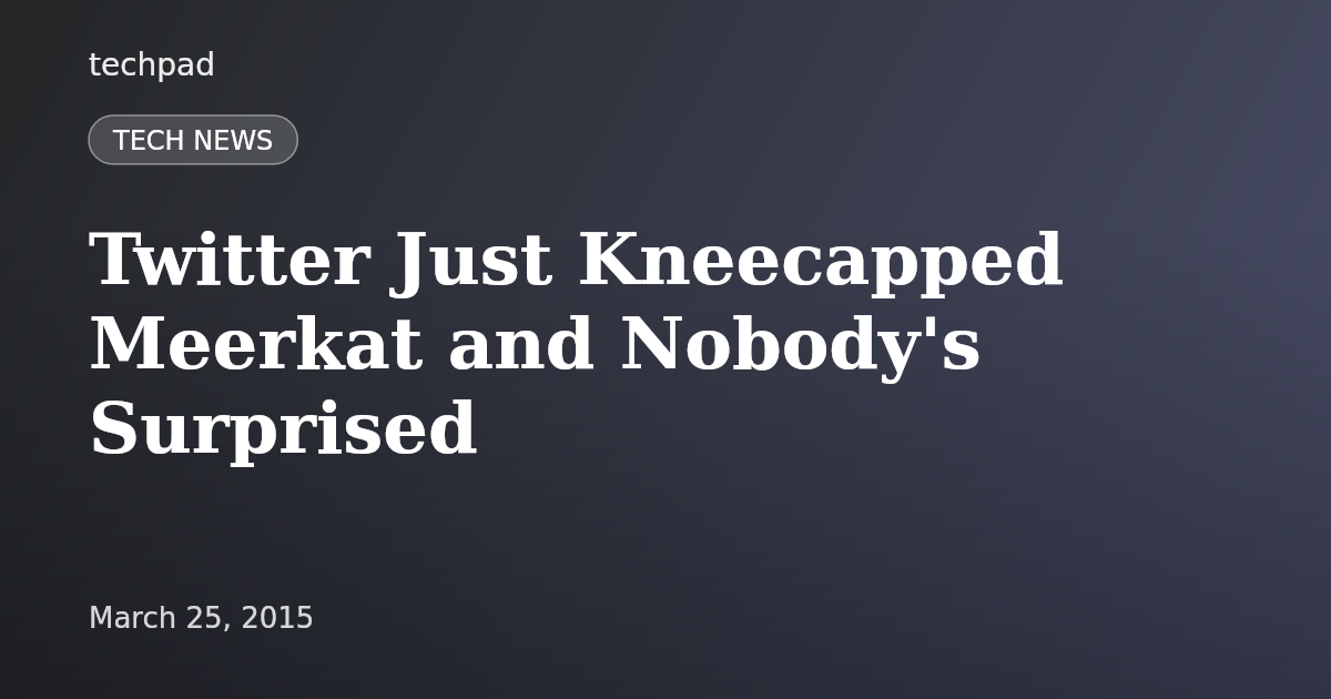 Twitter Just Kneecapped Meerkat and Nobody's Surprised